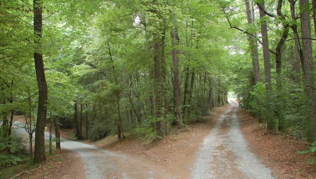 Life Path - 640 x 363