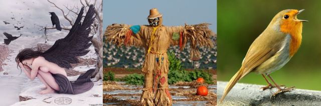 Blackbird-Scarecrow-Songbird